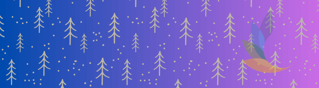 Your Guide to Our Christmas Events & Fundraisers