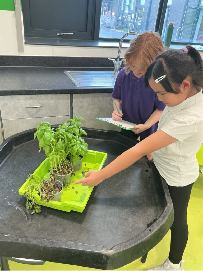 Science Spotlight: Curious Minds at Work!